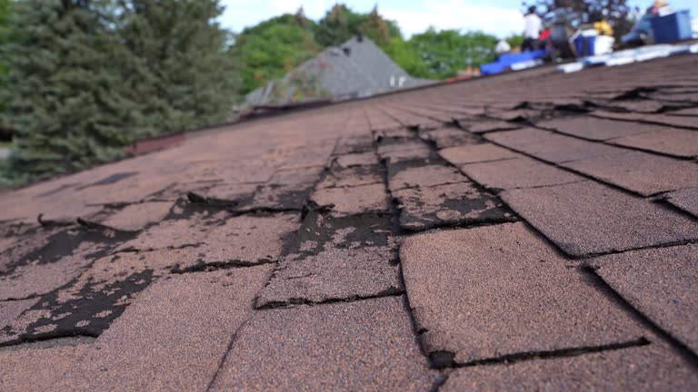 Best Slate Roofing  in Santa Clara, UT